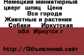 Немецкий миниатюрный(цверг) шпиц › Цена ­ 50 000 - Все города Животные и растения » Собаки   . Иркутская обл.,Иркутск г.